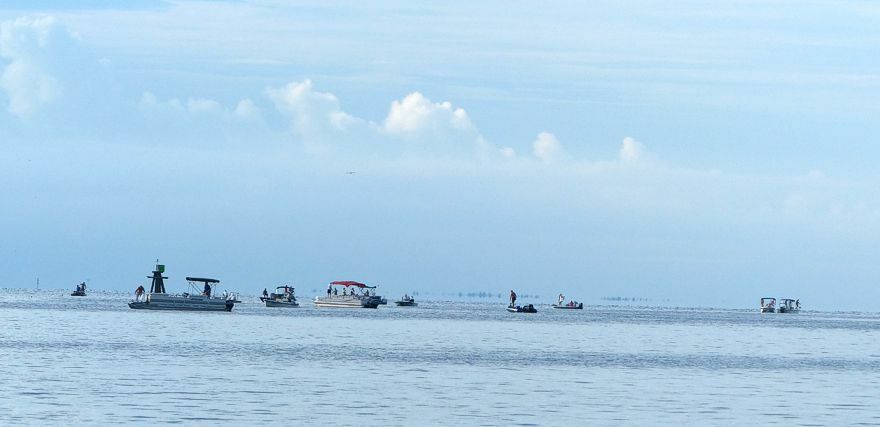 Click to See Next Image